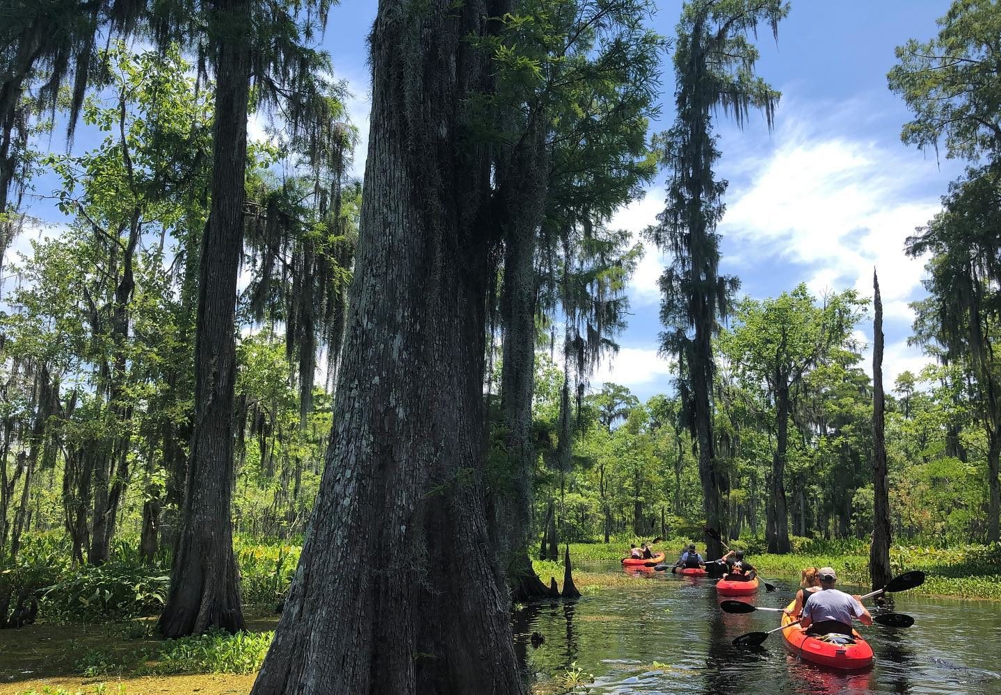 Kayaking Tour