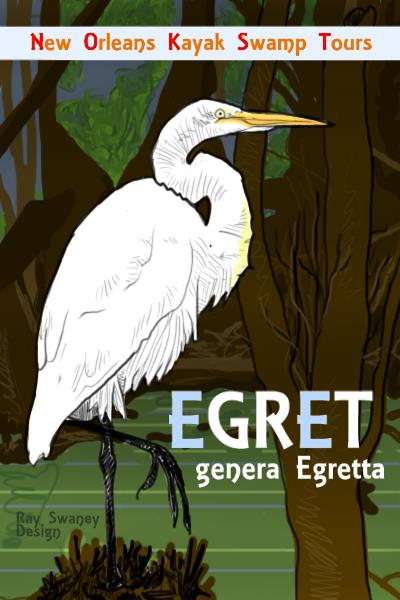 egret