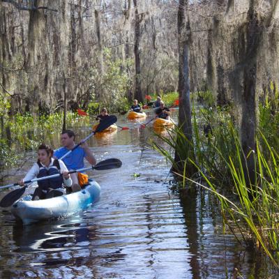 Manchac Mystic Wildlife Kayak Tour Image 2