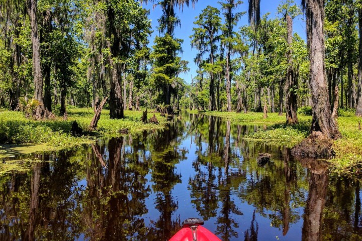 red kayak in a new orleans swamp