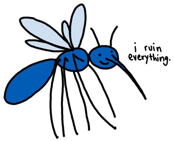 mosquito mosquito
