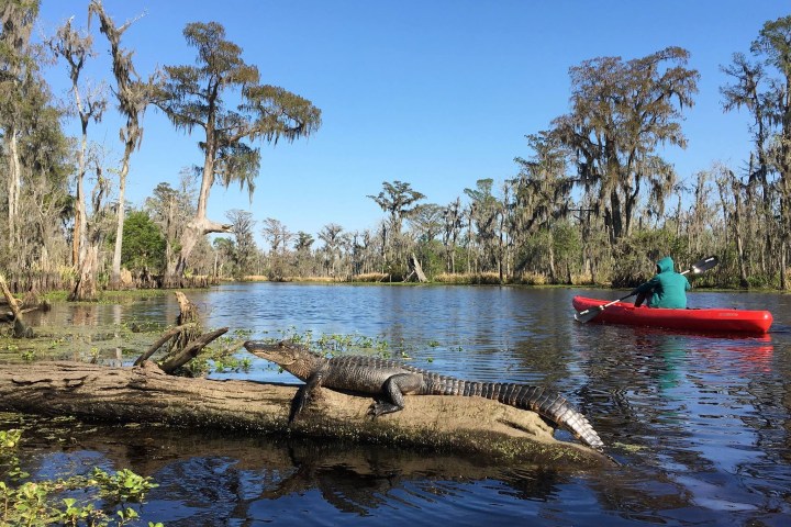 a small boat in a body of water