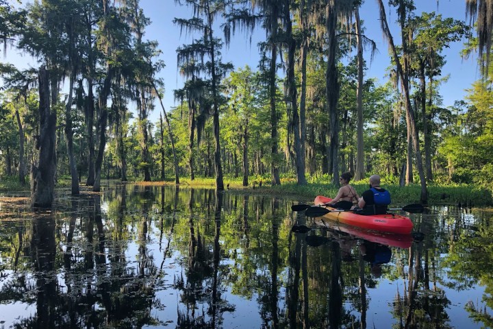 a man riding on the back of a boat next to a tree